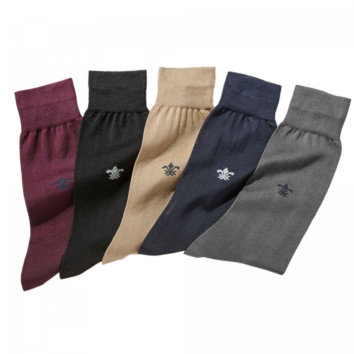 Chaussettes fil d'Écosse - les 5 paires 44/45 Assortiment de couleur